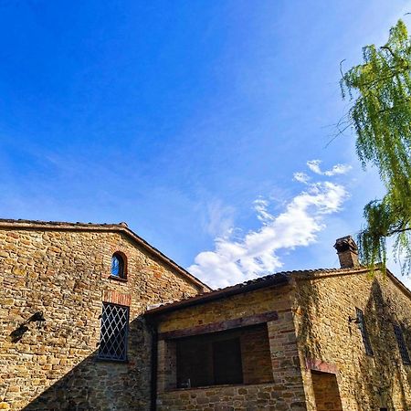 B&B Nel Vigneto Castelplanio エクステリア 写真