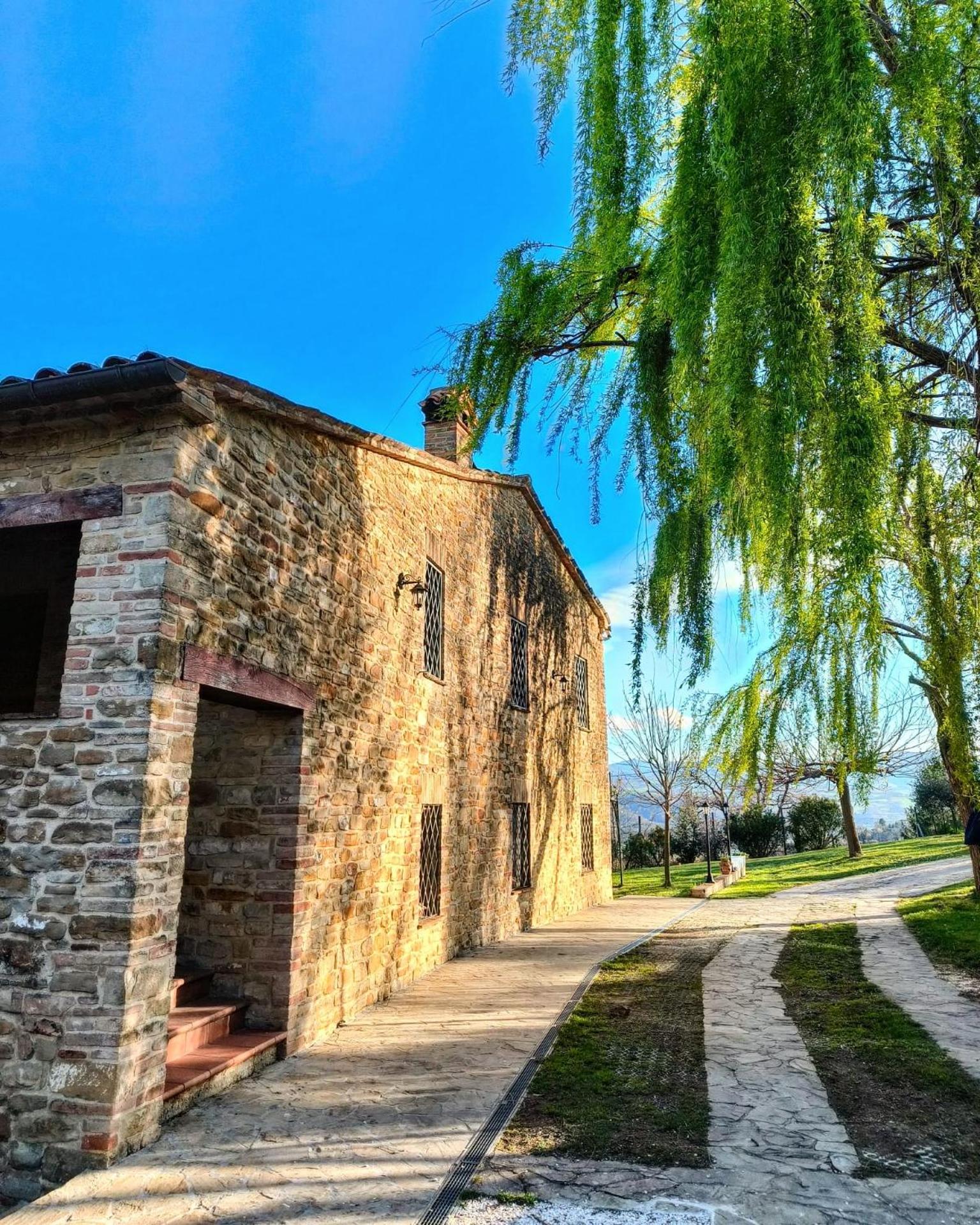 B&B Nel Vigneto Castelplanio エクステリア 写真
